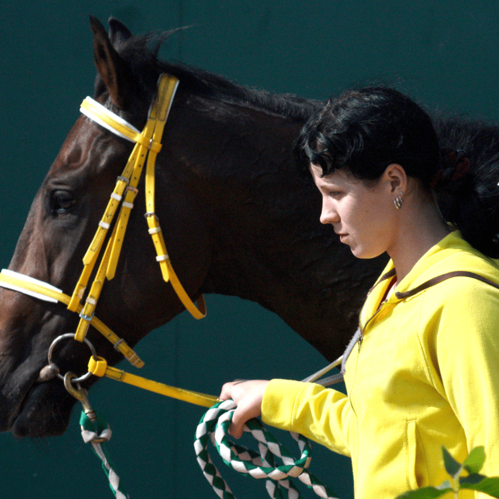 horse trainer