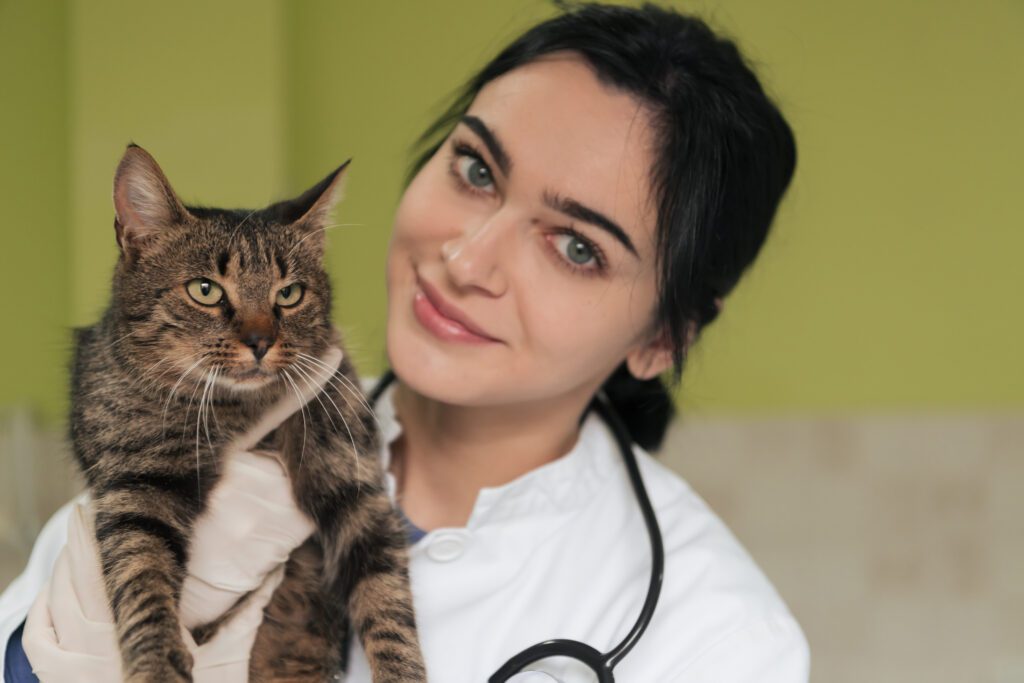 pet insurance for the vet