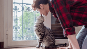 energy connection between pets and their owners