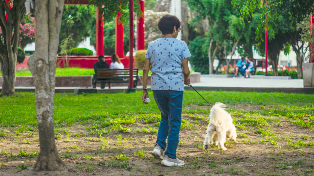 prepare animal for safety