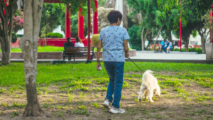 prepare animal for safety