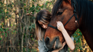 emergency with animal